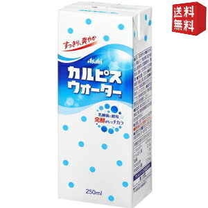 �y���������z �G���r�[ �J���s�X�E�H�[�^�[ 250ml���p�b�N 24�{�� ���k�C��800�~�E���k400�~�̕ʓr�������Z