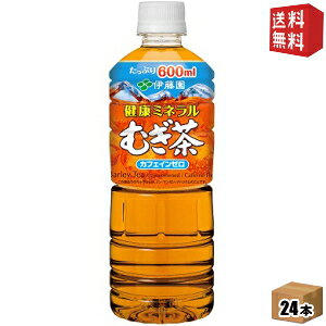 yzy600mlTCYzɓ N~lނ 600mlybg{g 24{ ()