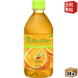 【送料無料】伊藤園TEAS'TEA(ティーズティー) NEW AUTHENTIC生オレンジティー500mlペットボトル 24本入※北海道800円・東北400円の別途送料加算 [39ショップ]