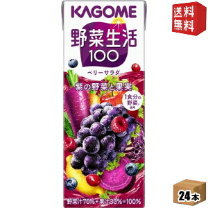 yzyzJS ؐ100 x[T_ 200mlpbN 24{ (؃W[X GiW[[c)