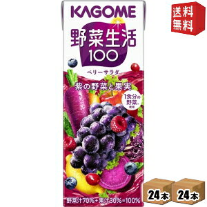 yz JS ؐ100 x[T_ 200mlpbN 48{ (24{×2P[X) [؃W[X ̖] kC800~Ek400~̕ʓrZ [39Vbv]