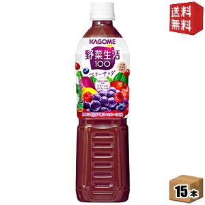 yzJS ؐ100 x[T_ 720mlybg{g 15{ (؃W[X GiW[[c ̖؂烊j[A)kC800~Ek400~̕ʓrZ