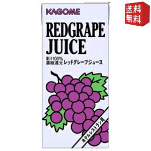 yzJS bhO[vW[X izeXgpj 1LpbN 12i6×2j{