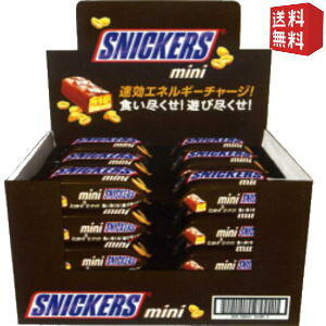 yz}[X 20gXjbJ[Y~j 24{kC800~Ek400~̕ʓrZ [39Vbv]