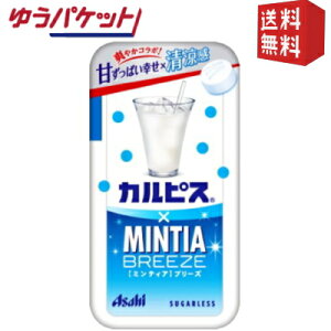 䂤pPbg ATqt[h JsX×~eBAu[Y 30×8 MINTIA ~g ^ubgَq