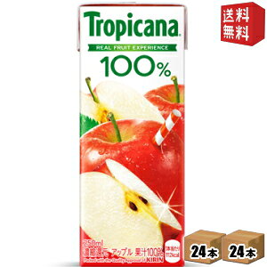 yzL gsJ[i100 Abv 250mlpbN 48{(24{×2P[X) [ʏ`100W[X] kC800~Ek400~̕ʓrZ [39Vbv]