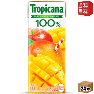 yzL gsJ[i100 }S[uh 250mlpbN 24{ (ʏ`100%)