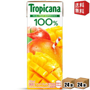 yzL gsJ[i100% }S[uh 250mlpbN 48{(24{×2P[X) [ʏ`100%] kC800~Ek400~̕ʓrZ [39Vbv]