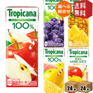 yz L gsJ[i100%W[X 250mlpbN Iׂ48{(24{×2P[X) IW O[vt[c Abv pCibv O[v }S[uhkC800~Ek400~