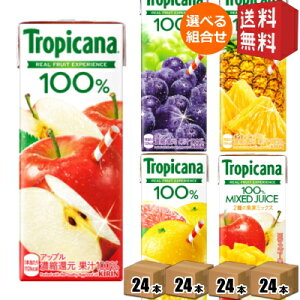 yzL gsJ[i ʏ`100W[X 250mlpbN 96{Zbg(24{×Iׂ4P[X) kC800~Ek400~̕ʓrZ