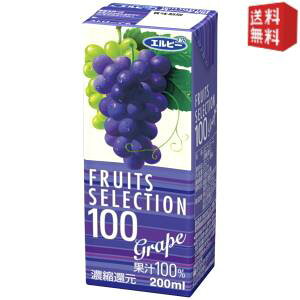 yzGr[ t[cZNV O[v100 200mlpbN 24{ (ʏ`100%W[X ԂǂW[X)