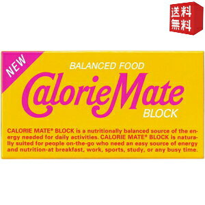 【送料無料】大塚製薬 2本入カロリーメイト ブロック メープル味 20箱入