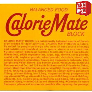 【送料無料】大塚製薬 4本入カロリーメイト ブロック チョコレート味 10箱入