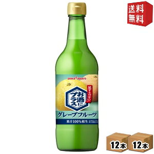 yz|bJTb| ɃvX O[vt[c 540mlr 24{(12{×2P[X) r ĒEEHbJEWȂǂ̊ނ kC800~Ek400~̕ʓrZ