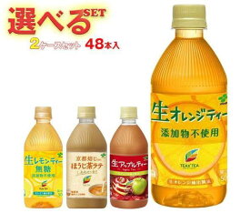 送料無料伊藤園 TEAS’TEA 選べる2ケースセット 500mlペットボトル×48(24×2)本入 ※北海道・沖縄は別途送料が必要。