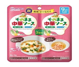 アサヒグループ食品 そのままソース 中華 40g×2袋×48袋入×(2ケース)｜ 送料無料 ソース ベビーフード 幼児用食品 離乳食