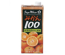 JAビバレッジ佐賀 みかん100 1L紙パック×6本入×(2ケース)｜ 送料無料 果汁 みかん オレンジジュース 100% 温州みかん