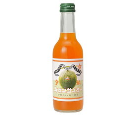 友桝飲料 夕張メロンサイダー 245ml瓶×24本入｜ 送料無料 サイダー ソーダ 炭酸 スパークリング メロン 夕張メロン 果汁
