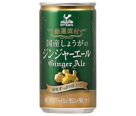 富永貿易 神戸居留地 国産しょうがのジンジャーエール 185ml缶×20本入×(2ケース)｜ 送料無料 炭酸 生姜 割り材 缶