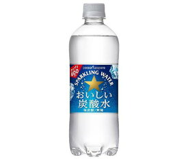 ポッカサッポロ おいしい炭酸水 600mlペットボトル×24本入｜ 送料無料 スパークリング ウォーター 炭酸 ソーダ 割り材 純水 水