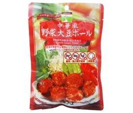 三育フーズ 中華風野菜大豆ボール 100g×15袋入｜ 送料無料 一般食品 大豆ミートボール 惣菜