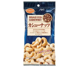 共立食品 120AP カシューナッツ 25g×10袋入×(2ケース)｜ 送料無料 お菓子 おつまみ ナッツ