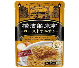 エバラ食品 横濱舶来亭ローストオニオン 120g×10袋入×(2ケース)｜ 送料無料 カレー材料 調味料 玉ねぎ タマネギ