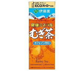 伊藤園 健康ミネラルむぎ茶 250ml紙パック×24本入×(2ケース)｜ 送料無料 伊藤園 麦茶 茶 ミネラル麦茶 お茶