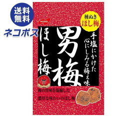 【全国送料無料】【ネコポス】ノーベル製菓 男梅ほし梅 20g×6個入｜ お菓子 うめ 袋