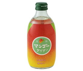 友桝飲料 完熟マンゴーサイダー 300ml瓶×24本入×(2ケース)｜ 送料無料 サイダー ソーダ 炭酸 スパークリング マンゴー