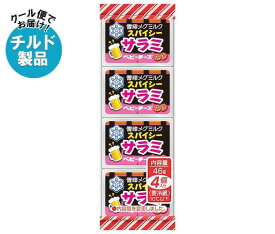 【チルド(冷蔵)商品】雪印メグミルク スパイシーサラミ ベビーチーズ 46g(4個)×15個入×(2ケース)｜ 送料無料 チルド商品 チーズ 乳製品