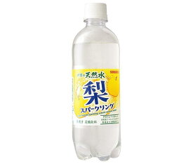 サンガリア 伊賀の天然水 梨スパークリング 500mlペットボトル×24本入×(2ケース)｜ 送料無料 梨 フルーツ 炭酸 炭酸水