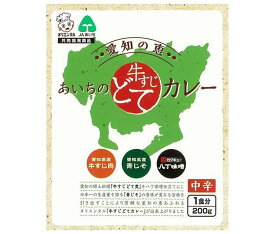 オリエンタル 愛知の恵 あいちの牛すじどてカレー 200g×30個入×(2ケース)｜ 送料無料 一般食品 カレー レトルト 中辛