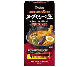 ハウス食品 スープカリーの匠 ペーストタイプ 濃厚スープ 119g×10個入×(2ケース)｜ 送料無料 レトルト スープカレー カリー 濃厚