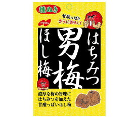 ノーベル製菓 はちみつ男梅ほし梅 20g×6袋入×（2ケース）｜ 送料無料 お菓子 うめ 袋