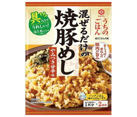 キッコーマン うちのごはん 焼豚めしやみつき甘辛味 66g×10袋入×(2ケース)｜ 送料無料 おそうざいの素 惣菜 一品 料理の素 おかずの素