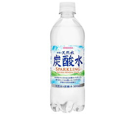 サンガリア 伊賀の天然水 炭酸水 500mlペットボトル×24本入｜ 送料無料 炭酸飲料 炭酸水 ソーダ 割り材 PET