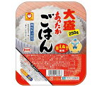 東洋水産 あったかごはん 大盛 250g×20個入×(2ケース)｜ 送料無料 パックごはん レトルトご飯 ごはん