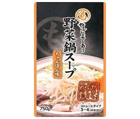 アドバンス もやしによくあう 野菜鍋スープ ちゃんぽん味 750g×12袋入×(2ケース)｜ 送料無料 調味料 鍋スープ 鍋つゆ だし