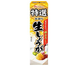 ハウス食品 特選生しょうが 40g×10本入｜ 送料無料 しょうが チューブ 生姜 ショウガ おろししょうが