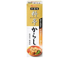 ハウス食品 料亭からし 33g×10本入×(2ケース)｜ 送料無料 調味料 辛子 カラシ