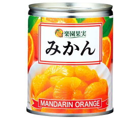 楽園果実 みかん 350g×24個入｜ 送料無料 みかん オレンジ ミカン 果実 果物 フルーツ