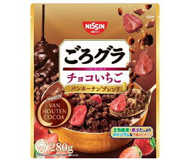 日清シスコ ごろグラ チョコいちご バンホーテンブレンド 280g×6袋入×(2ケース)｜ 送料無料 一般食品 健康食品 シリアル 袋