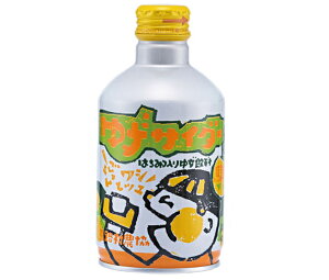 馬路村農協 ゆずサイダー 280mlボトル缶×24本入×(2ケース)| 送料無料 果実 ゆず ボトル缶 炭酸 柚子 果汁 はちみつ