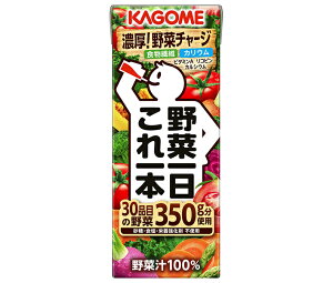 カゴメ 野菜一日これ一本 200ml紙パック×24本入×(2ケース)| 送料無料 野菜飲料 野菜ミックス 野菜ジュース