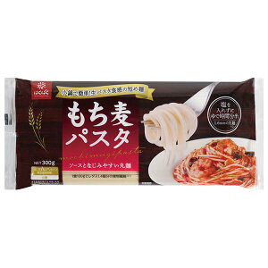 ͂΂ pX^ ۖ˃^Cv 300g×10ܓb  ʐHi  pX^ 