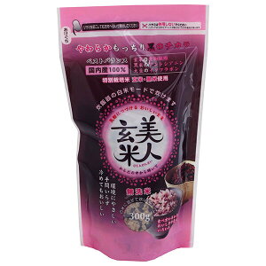 INg l(Y) 300g×20ܓ×(2P[X)b    ͂   Y100