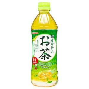 �T���K���A ���΂炵������ 500ml�y�b�g�{�g��×24�{��×(2�P�[�X)�b �������� ������ �Β� PET