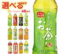 サンガリア お茶シリーズ 選べる2ケースセット 500ml・600mlペットボトル×48(24×2)本入｜ 送料無料 お茶 あなたのお茶 すばらしいお茶 烏龍茶 麦茶 抹茶 ほうじ ルイボステイー 48本 箱買い まとめ買い ケース 500ml サンガリア ボトル ペットボトル