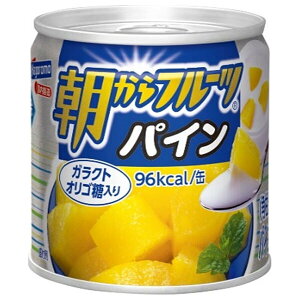 ͂t[Y t[c pC 190g×24×(2P[X)b  ʋl t[c ʕ pCibv pCAbv